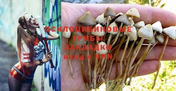 прущая мука Абаза