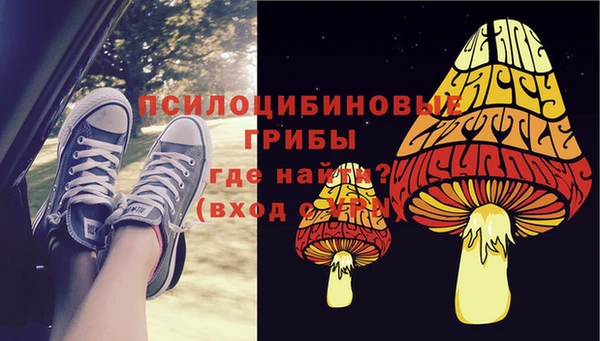 ПСИЛОЦИБИНОВЫЕ ГРИБЫ Абинск